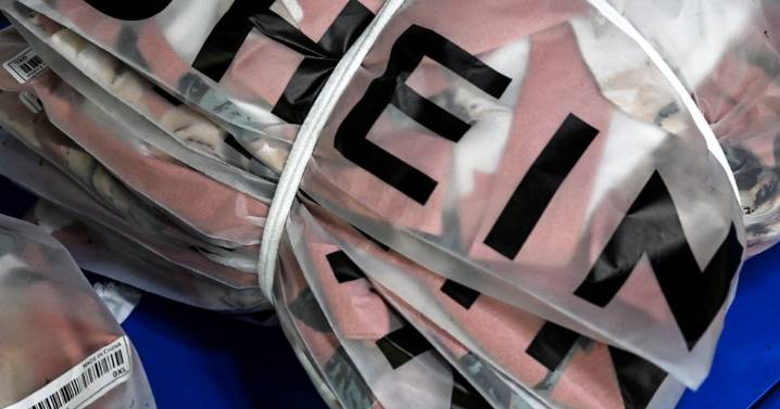 China's Shein pulls child-like sex dolls from sale following French watchdog complaint