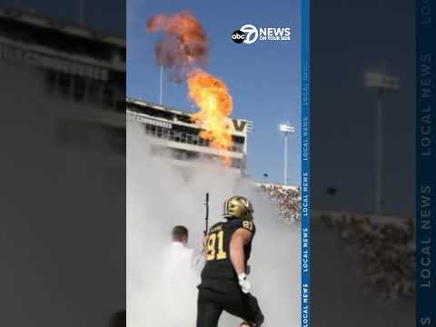 11 college football coaches were fired