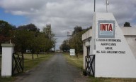 Alerta en el INTA: Nación reactivaría el desguace en el organismo
