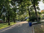 Redesign of Ann Arbor street saves trees while making room for sidewalk