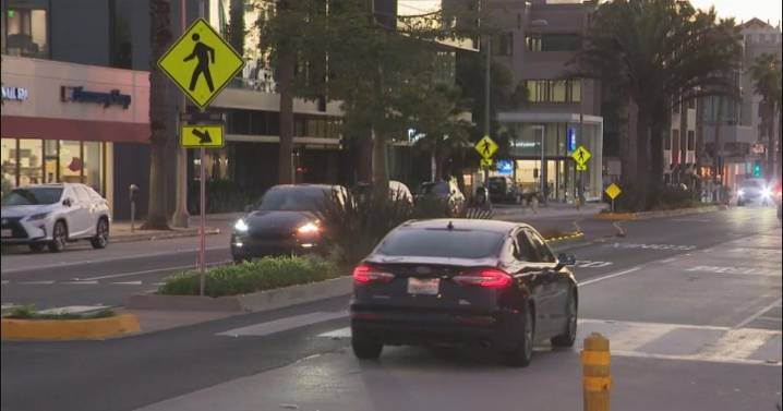 Doctor sues Santa Monica and LA County after near