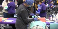 Free dental, medical clinic in downtown Cleveland continues Saturday
