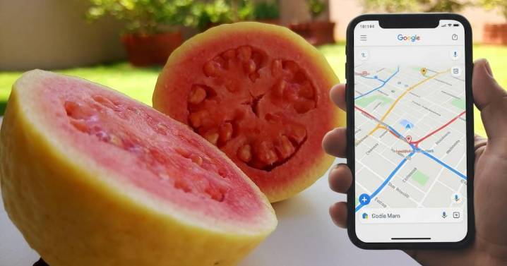 Gabito Ballesteros y Paulina Rubio GRATIS en la Feria de la Guayaba: Fecha, sede y cartel oficial