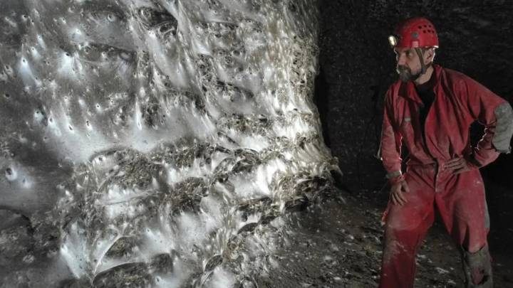 Encuentran la telaraña más grande jamás vista, con 97 m2 y acoge a 111.000 arañas: "La naturaleza aún nos sorprende"