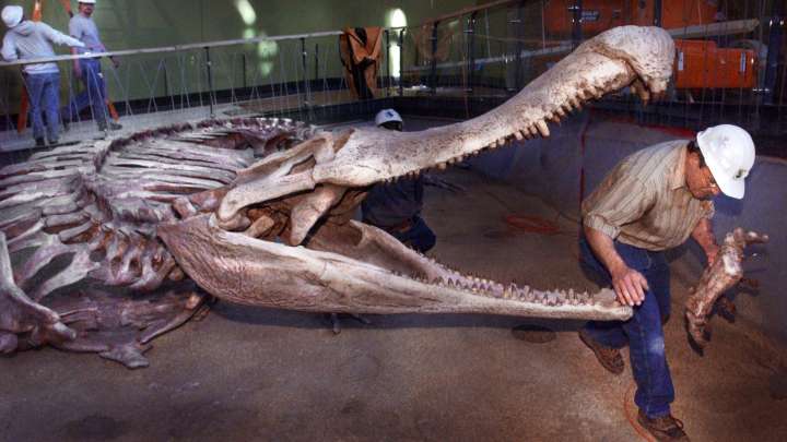 The Children's Museum is 100 years old. Look back at its big moments.