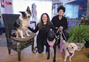 Everybody’s Business: Providing a calming touch for dogs