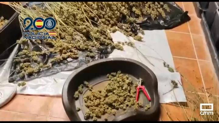 Un fuerte olor permite incautar 27 kilos de marihuana en una vivienda próxima a un centro escolar en Ugena