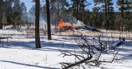 Kaibab National Forest plans additional pile burns despite wintry weather