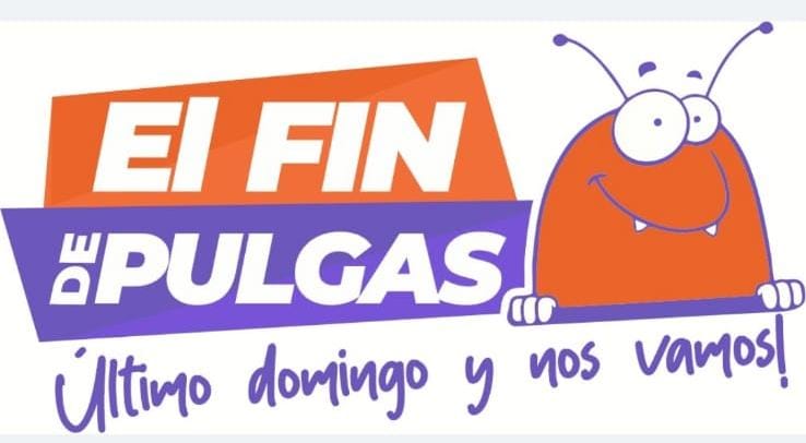 “‘Último domingo y nos vamos’: Comerciantes anuncian el Fin de Las Pulgas con ofertas especiales este 30 de noviembre”