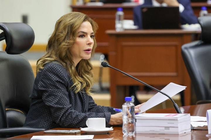 Partidos han usado de forma tramposa las acciones afirmativas: Consejera del INE