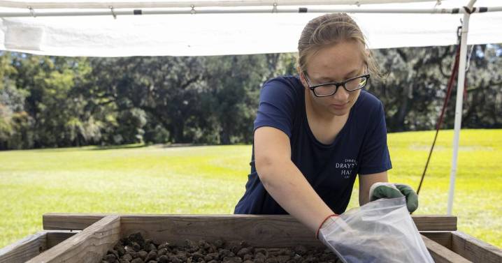 Photos: Archaeologists at Drayton Hall excavate old well predating the family's use of the land