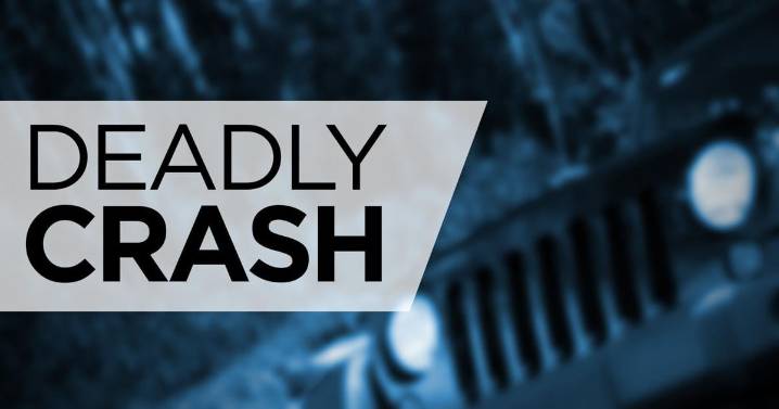 HCSO investigating deadly weekend crash in Harrison