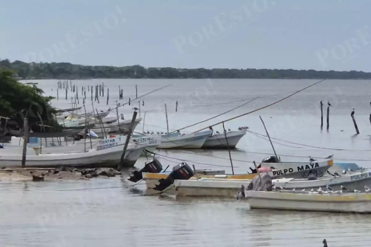Mal tiempo frena labores pesqueras en el puerto de Champotón