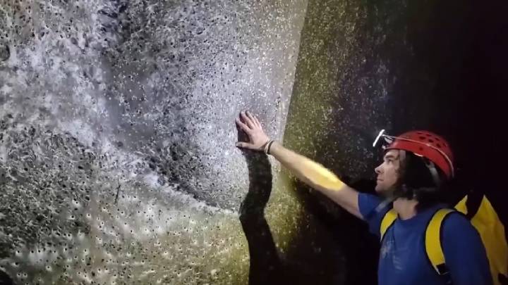 Scientists Find World’s Largest Spider Web, Packed With Over 100,000 Creepy Crawlies