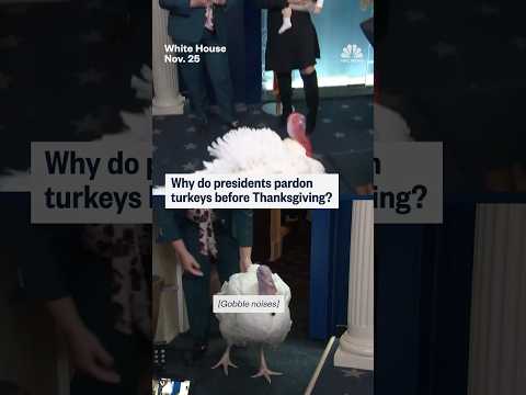 Why do presidents pardon turkeys before Thanksgiving?