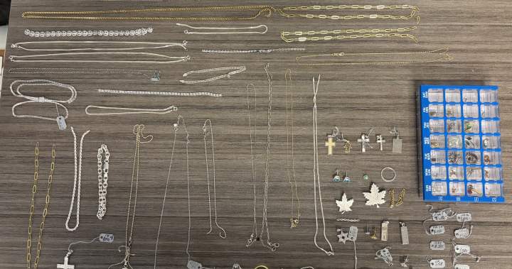 3 Toronto men charged, 1 woman wanted for Guelph, Ont. break