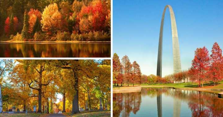 Check out some of our favorite photos from the 2025 Fall Photo Contest!