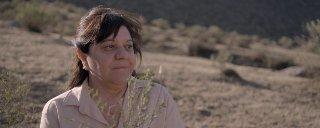 Historias de sueños, pérdidas y vínculos en las competencias de este miércoles