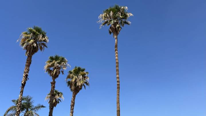 Thanksgiving week weather should be clear for valley