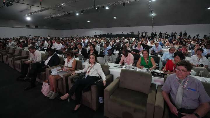 COP30: Were this year’s UN climate talks in Brazil a flop?