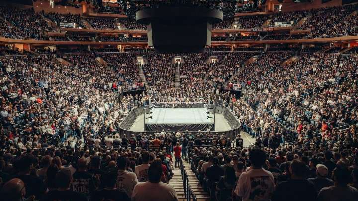 Former WWE Champions Announce Plans To Retire In 2026