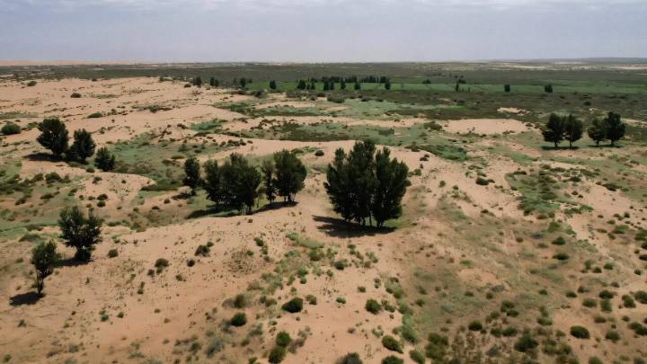 La reforestación de China ya equivale a casi dos veces España: así lo consiguen