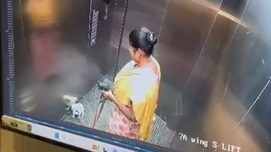 Shocking CCTV: Bengaluru domestic help seen throwing dog on lift floor, pet dies