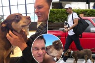 Tom Brady reveals he cloned his late dog to create newest pooch