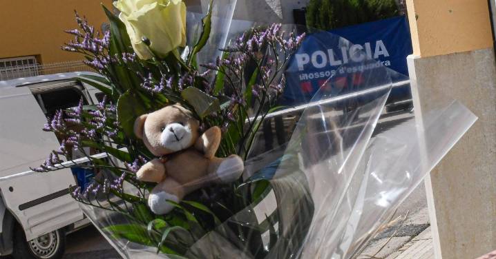 El CGCEE reclama garantizar el derecho al retorno seguro en casos de violencia vicaria