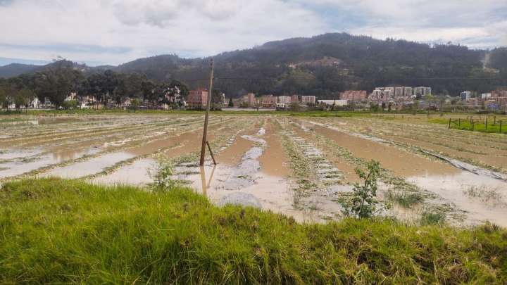 Al menos nueve viviendas resultaron afectadas en Sogamoso por inundaciones