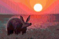 15 stunning images from The Nature Photographer of the Year awards