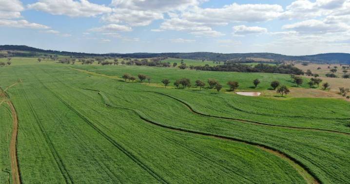 Rocky Creek estate sale offers diverse farming potential