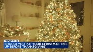 Holiday debate: Should you put your Christmas tree up before Thanksgiving?