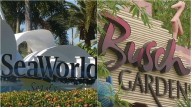 SeaWorld, Busch Gardens subject of federal ADA investigation