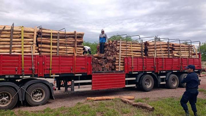 Decomisaron una carga de postes de itín en un control policial en Ojo de Agua