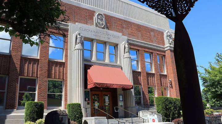 Former Democrat politician may have fled country with son after allegedly stealing $30K: officials