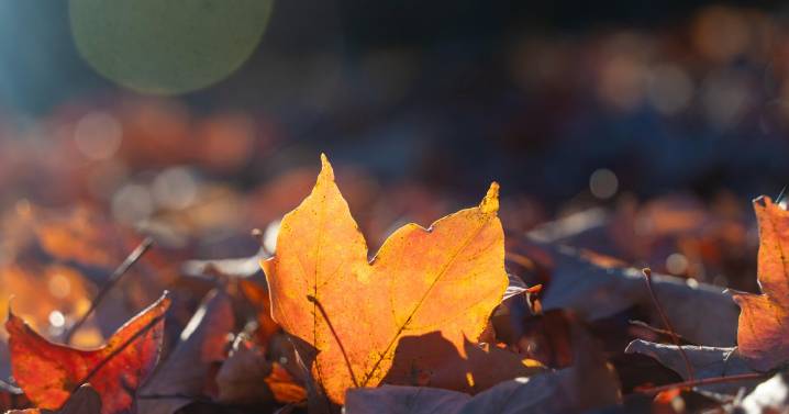 Chilly weekend ahead, with snow possible in parts of Minnesota