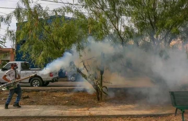 Reportan más de mil casos de dengue en una semana en el país