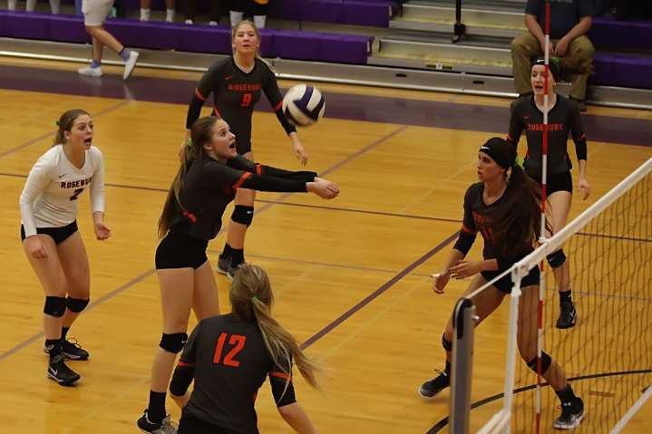 Southwest Conference volleyball 2025: All-league teams, coach and player of the year