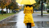 Rain and wind to impact N.J. before cold, blustery Thanksgiving