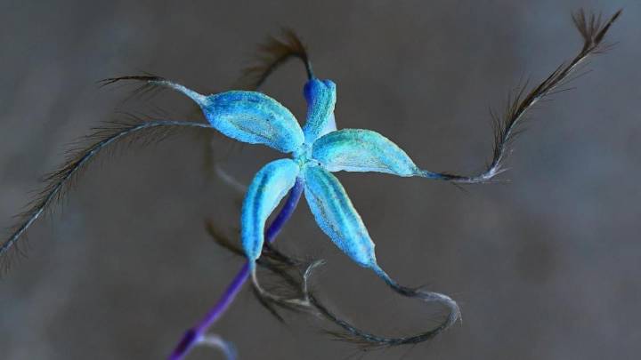 Las estrellas como inspiración del arte