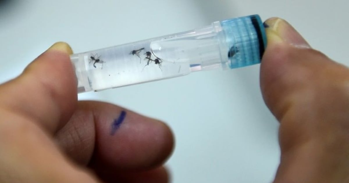 Brazil authorizes world’s first single