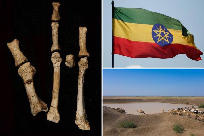 Mystery owner of 3.4 million year old foot in Africa identified: study