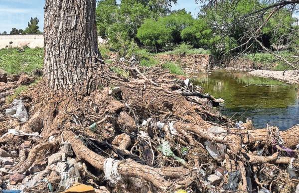 Alzan la voz en rescate del Río Sacramento