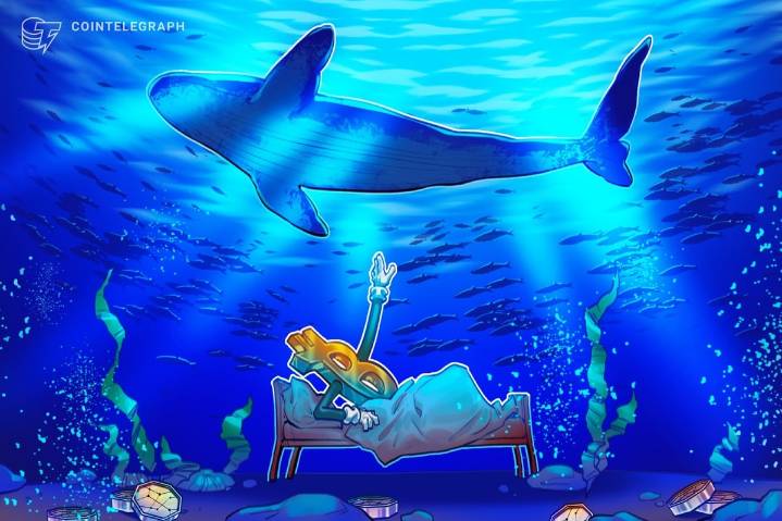 Ventas de ballenas de BTC podría ser una señal de una fase tardía del ciclo