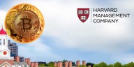 La Harvard Management Company, gestora del fondo de inversión universitario, triplica su inversión en Bitcoin