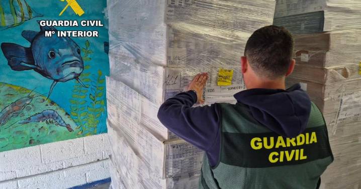 Intervienen 20 toneladas de marisco y pescado caducado en una distribuidora de Palma