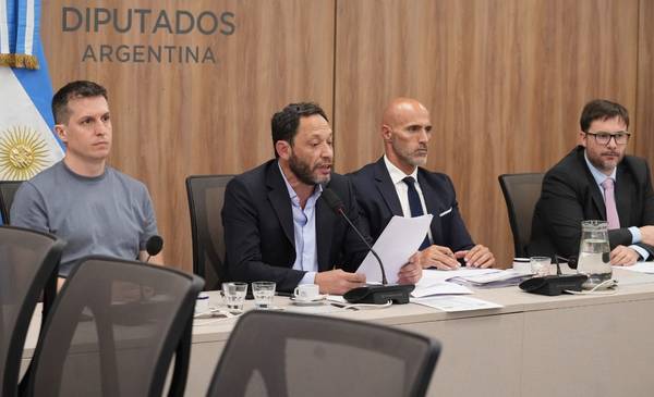 Para la Comisión $Libra, Milei usó "su investidura en beneficio de intereses privados"