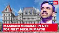 Zohran Mamdani DEFEATS Andrew Cuomo in Major Upset