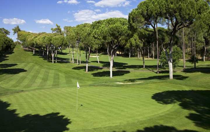 Authorities Arrest Teen After Bizarre Act Causes $126K in Damage at Florida Golf Course